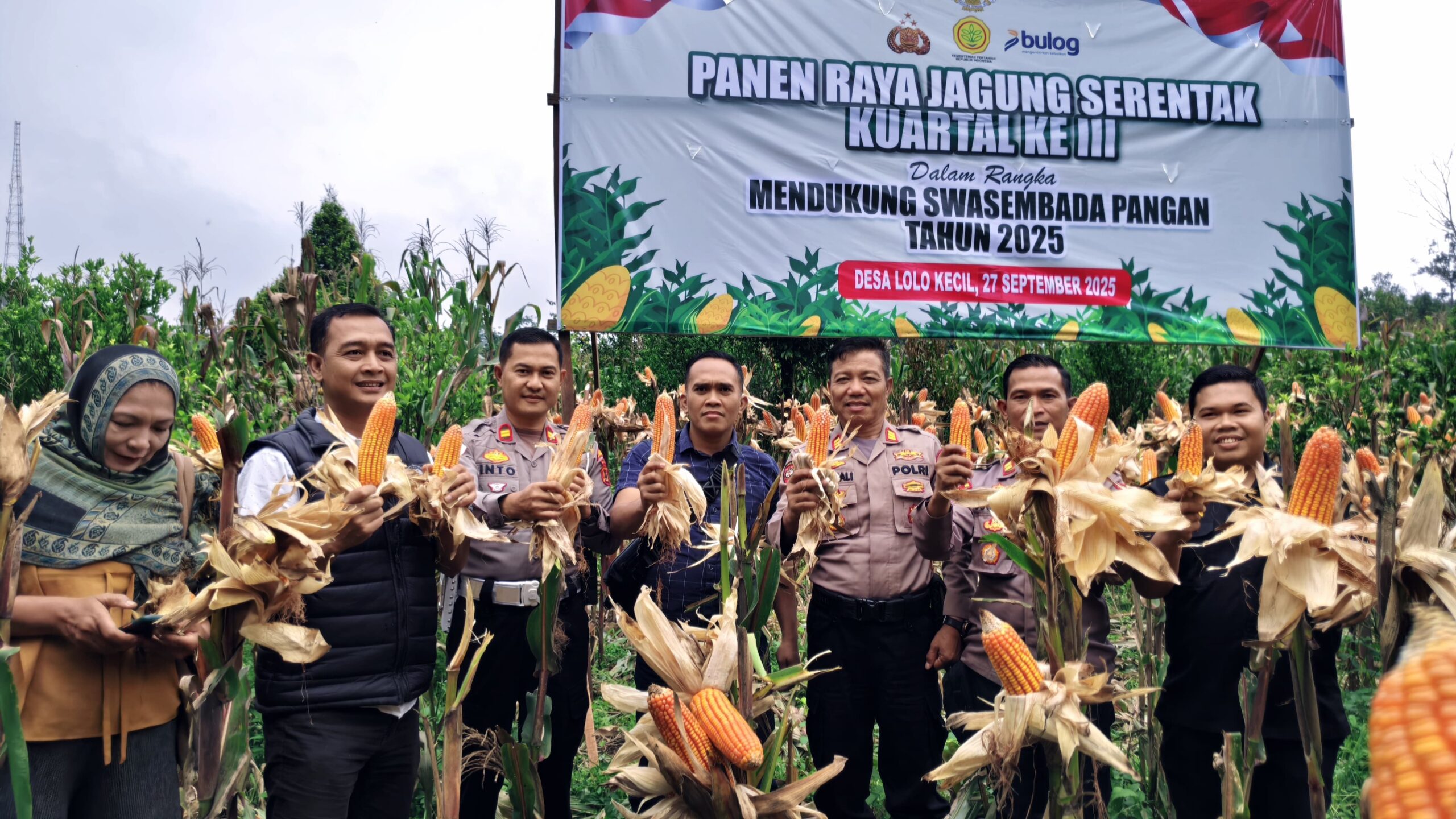 POLRES KERINCI GELAR PANEN RAYA JAGUNG TAHAP III