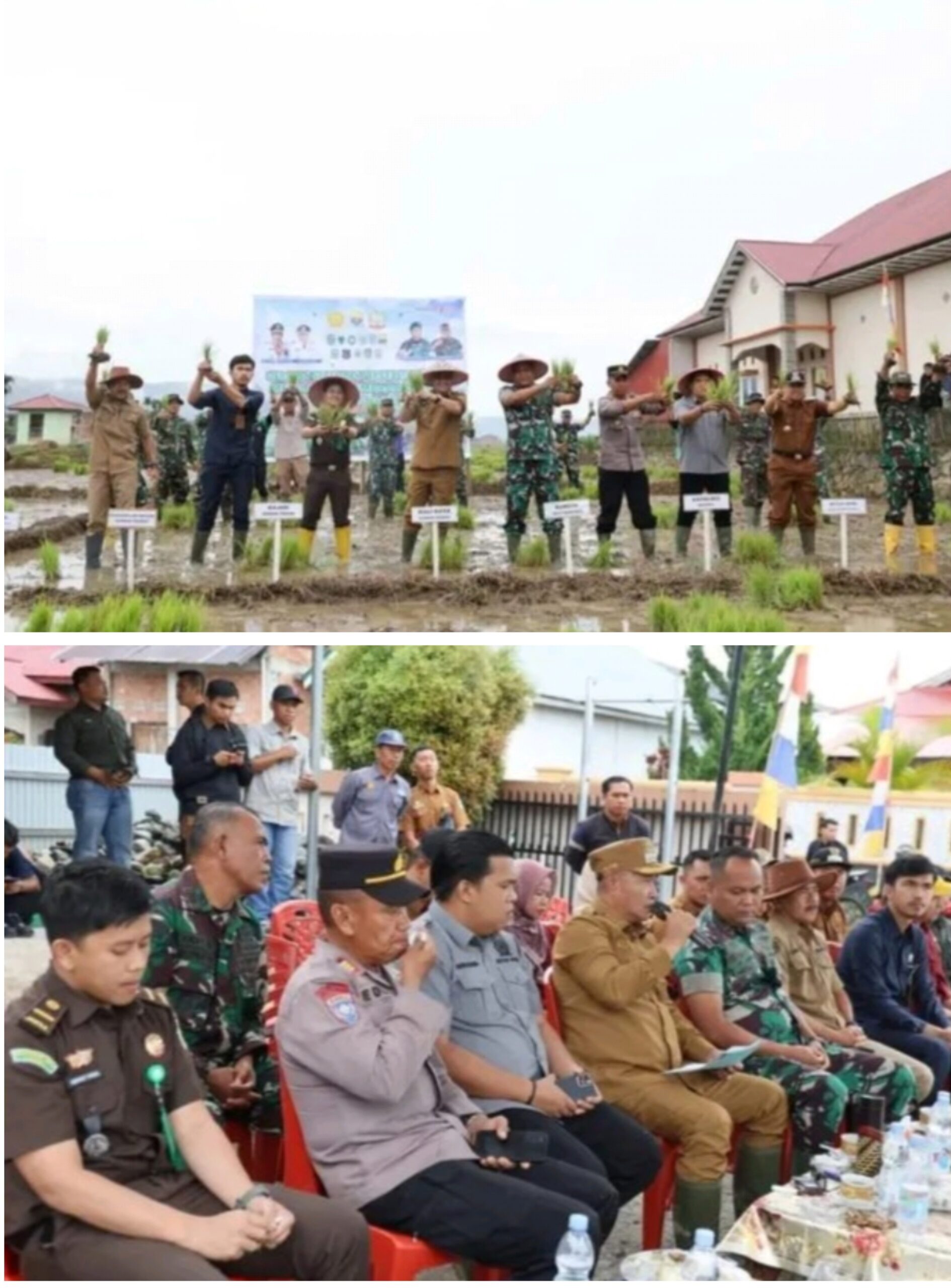 Wako Alfin Hadiri Gerakan Serempak Percepatan Tanam Menuju Swasembada Pangan di Desa Koto Dian