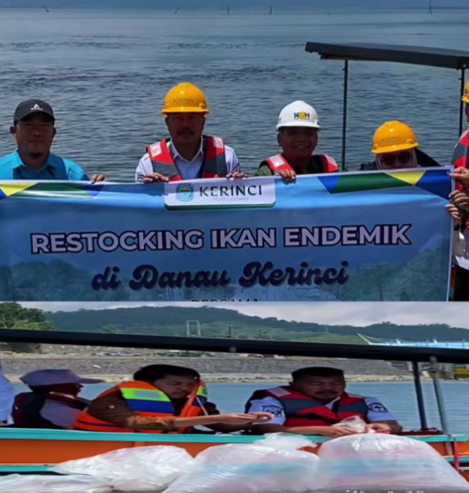 Dorong Kesejahteraan Nelayan, Bupati Monadi Bersama PT KMH Tebar Ikan Endemik di Danau Kerinci
